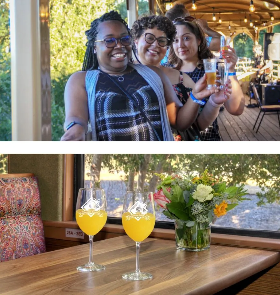 Patrons toast the camera in an open-air train car