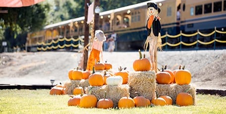 Scarecrows and pumpkins stand in a field with a train in the background