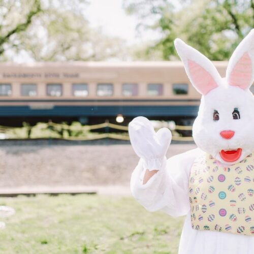 Easter Egg Express - River Fox Train