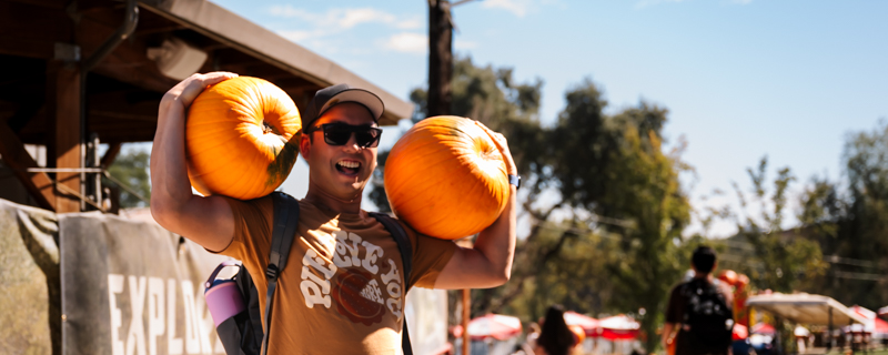Smiling man holding large pumpkins on shoulders at an outdoor event.
