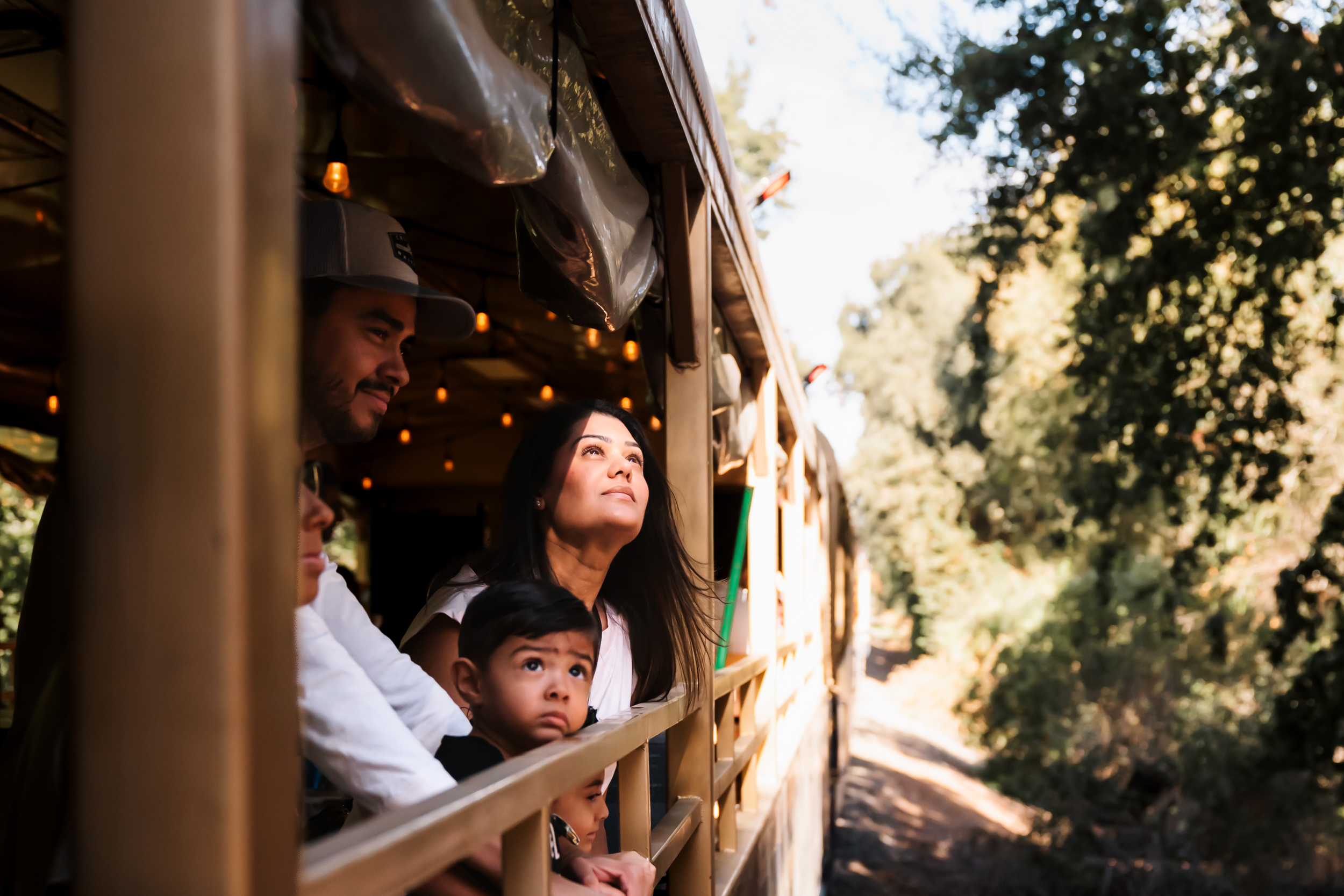 Family on a train ride through a wooded area, looking out the window.