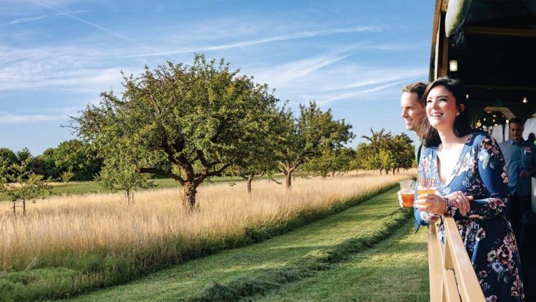 People enjoying a scenic view from a train with trees and grass.