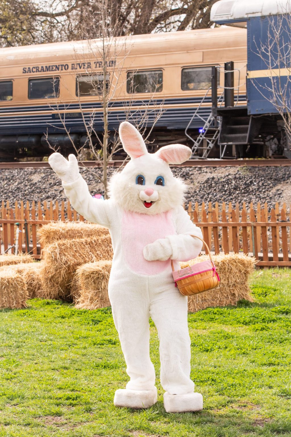 Person in Easter bunny costume waves near a train.