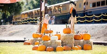 Pumpkins and scarecrow on hay bales with a train in the background.