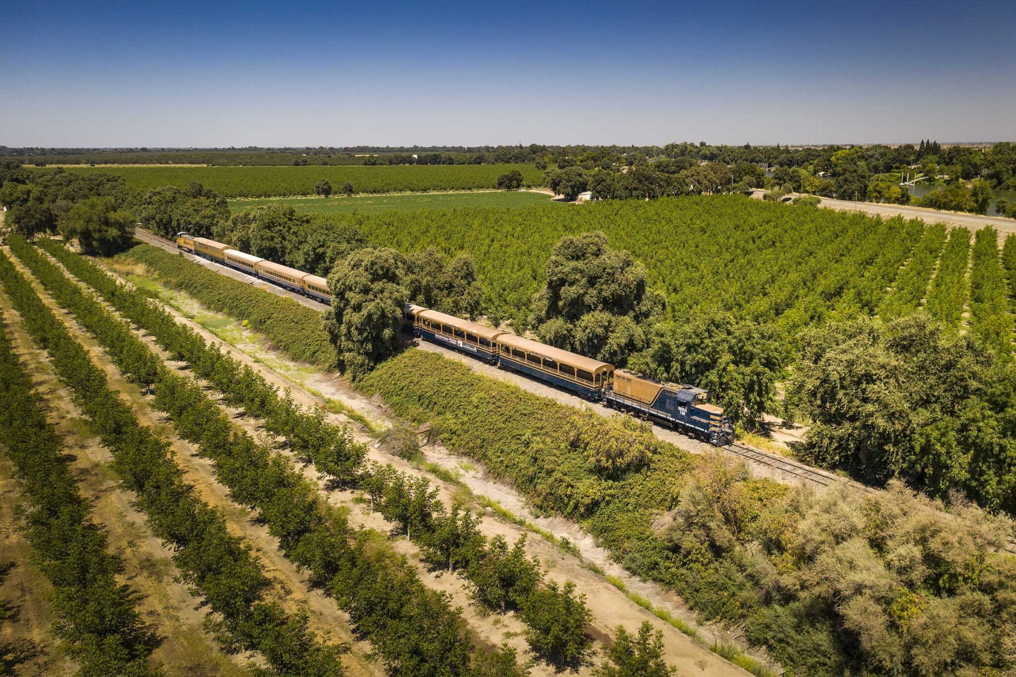 A train travels through lush green farmland under a clear blue sky.